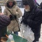 Скоро холода